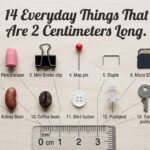 2 Centimeters Long
