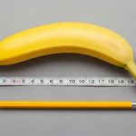 8 Inches Long